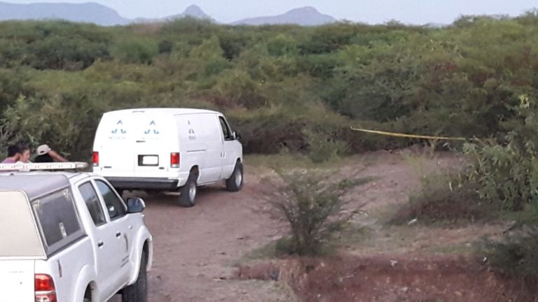 Hallan muerta a maestra de Cobaes desaparecida