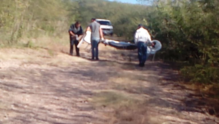 Hallan en Mocorito osamenta de casi un año de antigüedad