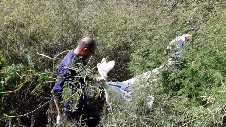 Encuentra leñador los restos óseos de una persona en ‘El Ranchito’