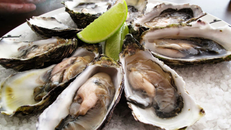 Vedan mariscos bivalvos de Altata