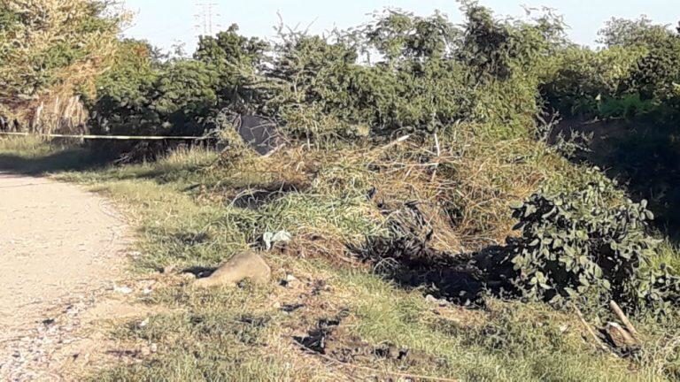 Hallan degollada a joven de 22 años en Costa Rica