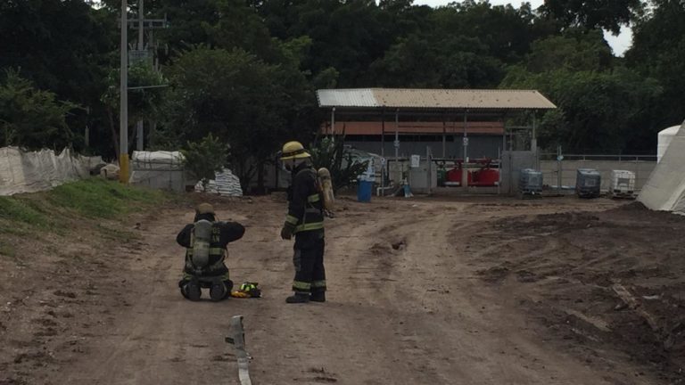 Mueren 3 al caer a tambos con químicos en campo de Costa Rica