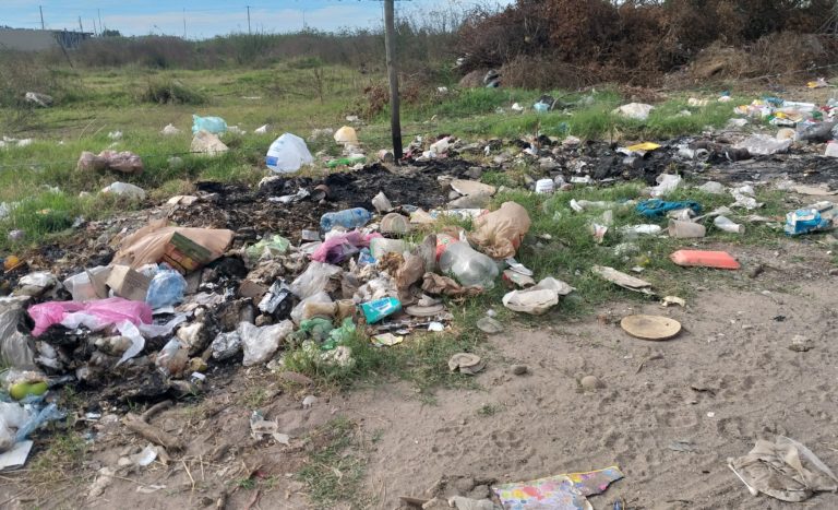 Insta PVEM a parar basureros clandestinos