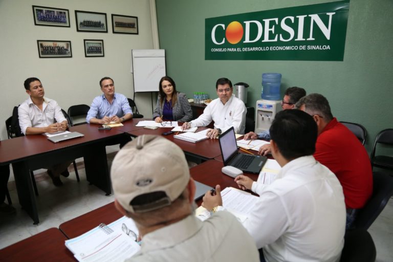 Innovar y actualizarse, retos para la industria mueblera de Sinaloa