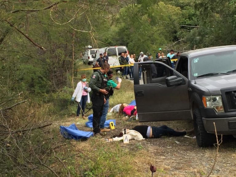 Los feminicidios son un llamado de alerta: PVEM