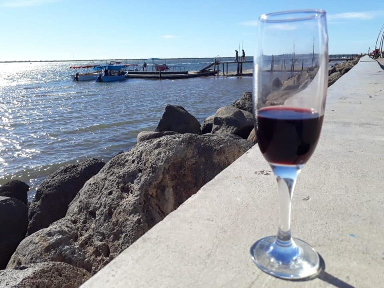 Con turismo internacional, Altata cierra su séptima semana con afluencia