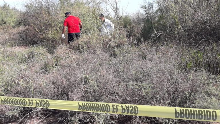 Encuentran cadáver en terreno pantanoso y con caimanes en Costa Rica