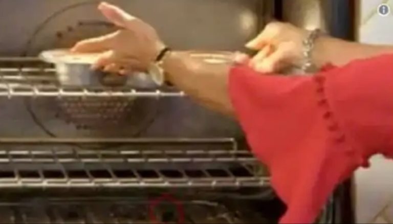 Cucaracha aparece en episodio de Nexflix México y se lo toman con humor