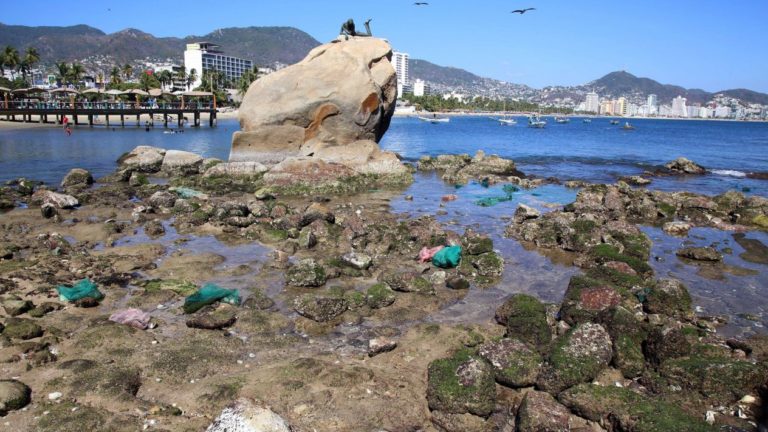 El mar se aleja en playas de Veracruz, Sonora y Acapulco