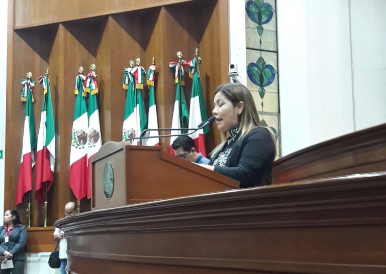 Tras división, a Morena le urge dirigente: diputada Flora Miranda