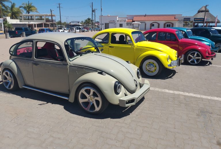Exhibe Playazo Vochomanía Altata más de 70 autos únicos