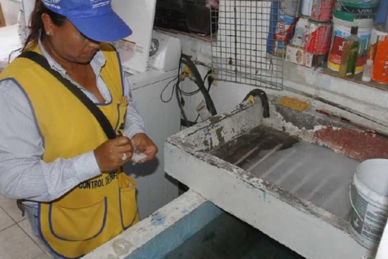 Salud anuncia la 1era Jornada Nacional de lucha contra el Dengue, Zika y Chikungunya 2019