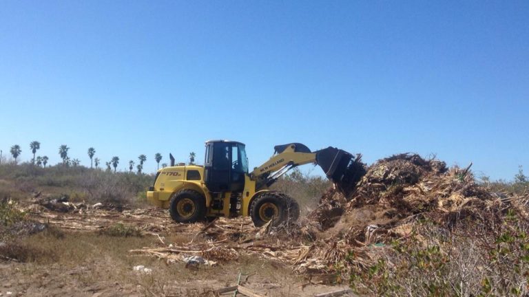 Elimina Ayuntamiento 12 basurones clandestinos en Navolato
