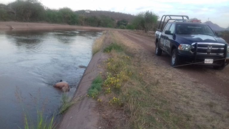 Localizan flotando cadáver de un hombre en Zapotillo, Mocorito