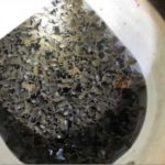 sapos-venenosos-florida2432019nota2