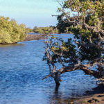 actividades-principales_sinaloa_culiacan_los-entornos-naturales-y-la-alegria-culichi-en-las-playas-de-culiacan_int