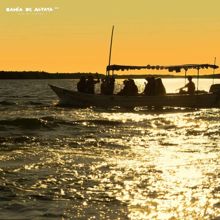 Hasta 40 grados de calor para hoy en Sinaloa