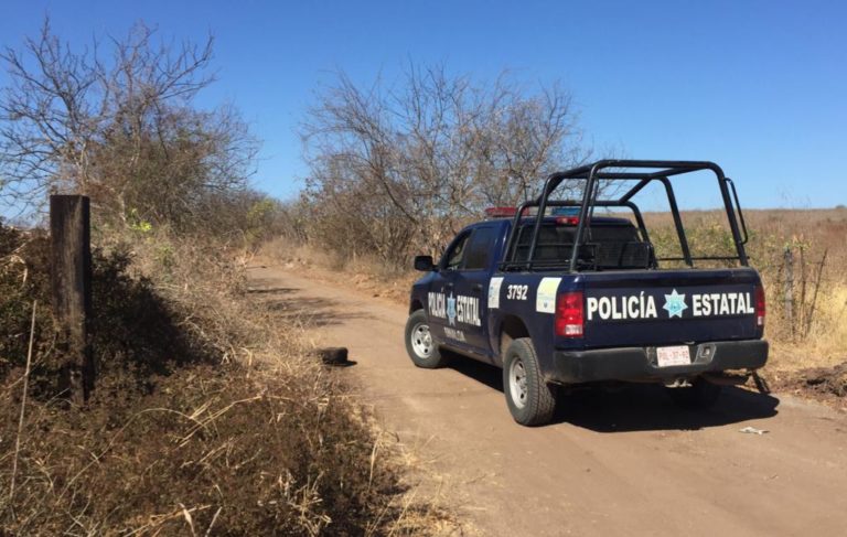 Hallan cuatro cuerpos en fosas clandestinas de ‘El Tamarindo’