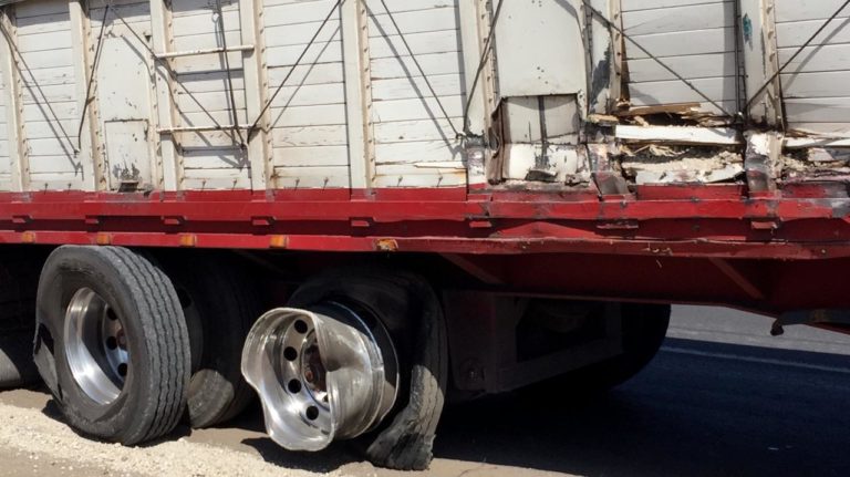 Intentó ganarle paso al tren en la Del Valle y salió impactado