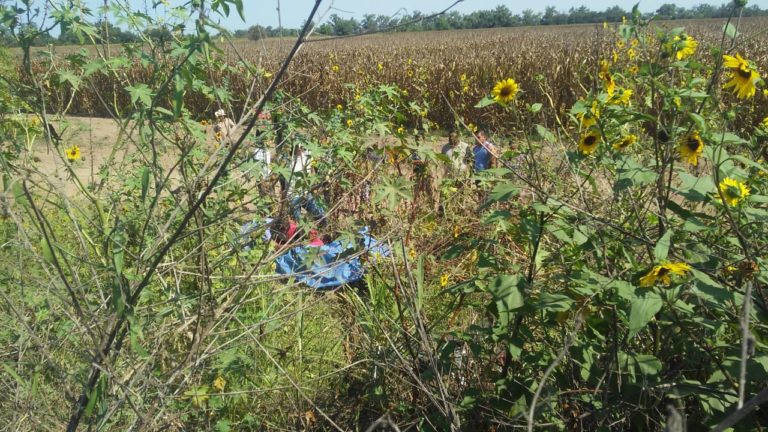 Encuentran muerto a vecino de El Castillo, Navolato a orilla de la carretera
