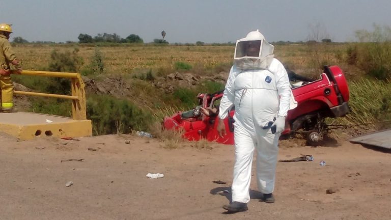 Abejas ocasionan accidente; hay un muerto y dos heridos en la Navolato-Altata