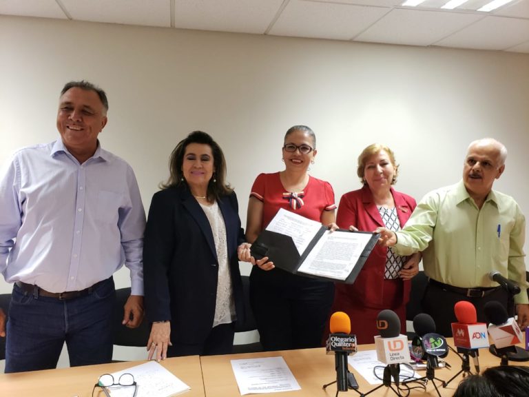 Periodistas y defensores en DH piden protección a diputados