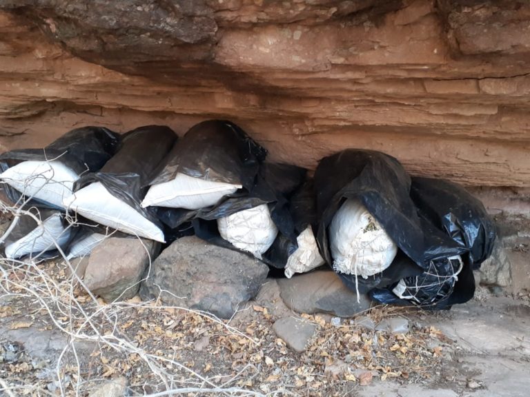 Decomisan 200 kilos de mariguana en laboratorio clandestino de Tepuche