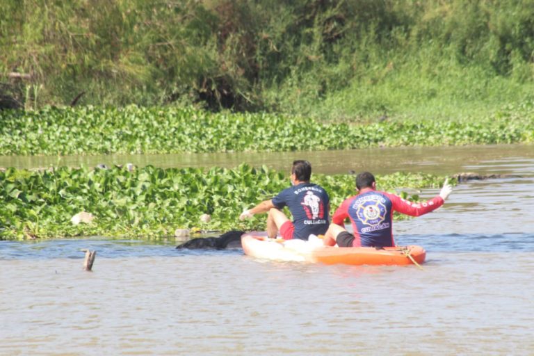 Estaban pescando y hallaron un cadáver en el río Culiacán