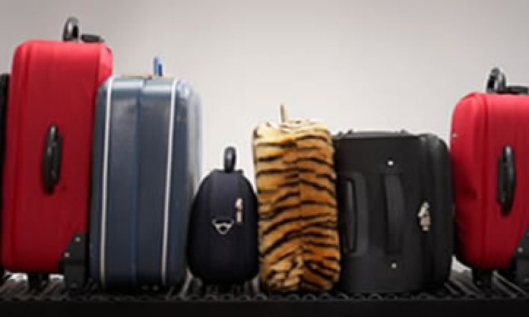 ¿De vacaciones? Conoce la app que te ayuda a pesar tu maleta