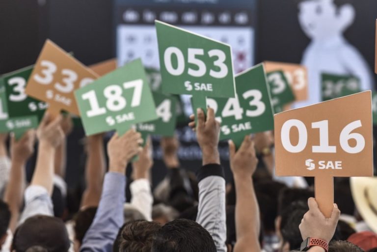 SAE pone a subasta predios incautados en Sinaloa