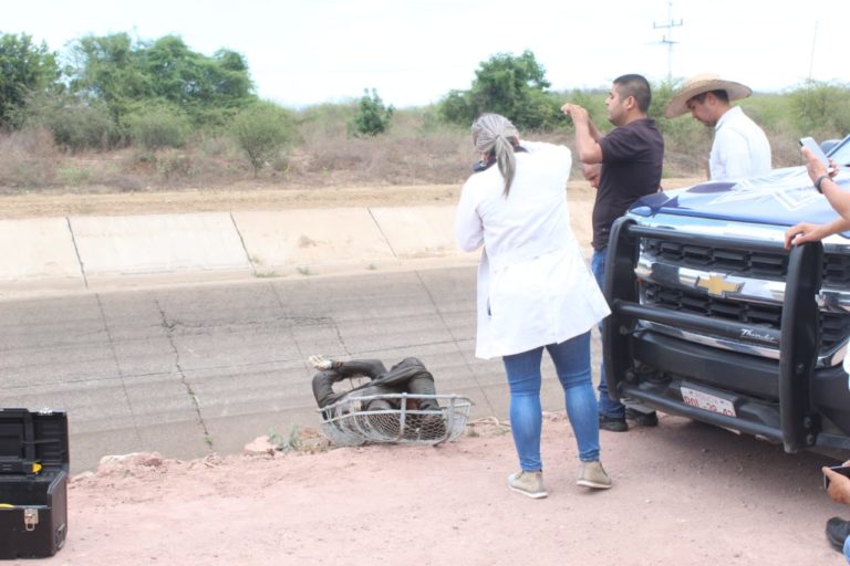 Hallan cadáver en el canal Humaya