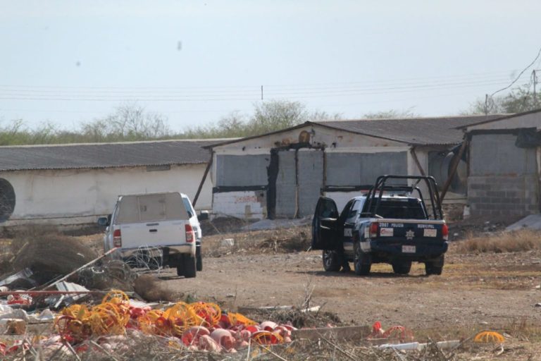 Muere electrocutado en granja de pollos en Las Milpas, Quilá