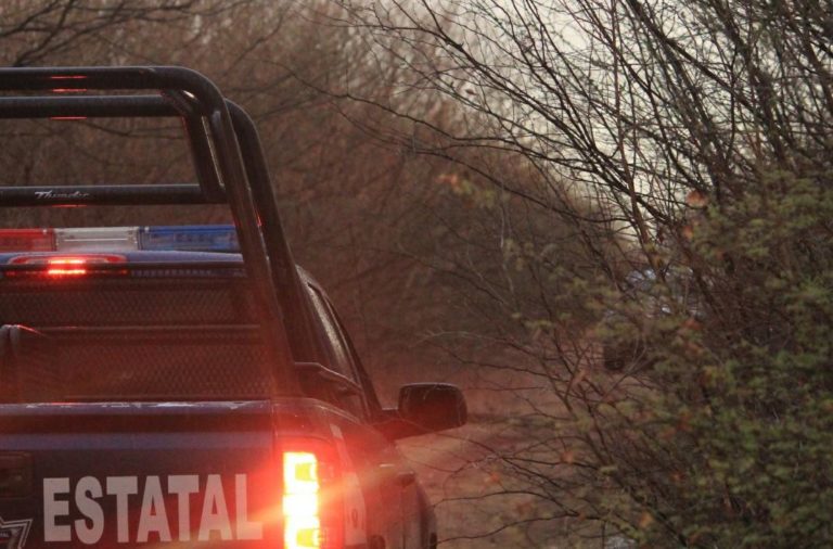 Encuentran osamenta al sur de Culiacán