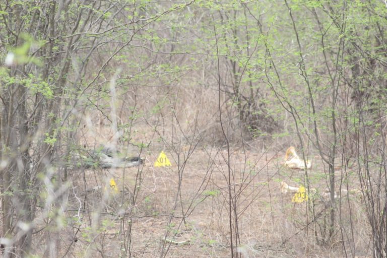 Hallan osamentas de dos cuerpos al sur de Culiacán