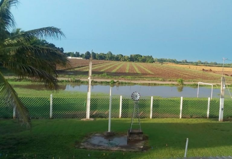 Daños menores reportan tras lluvias en Navolato