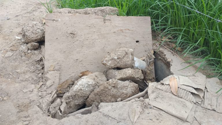 De nada sirvió la limpieza en Villa Juárez y La Palma: Japan