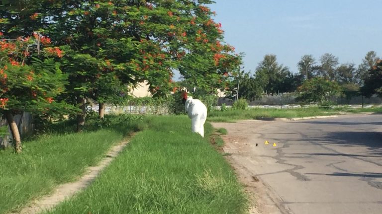 Con sapos en el cuello matan a mujer