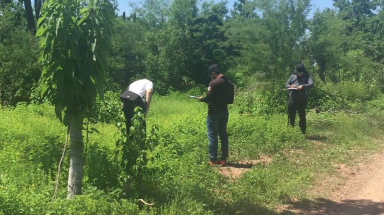 Localizan muerto a joven en Zona Dorada, Culiacán