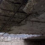 received_2418192031785642-1