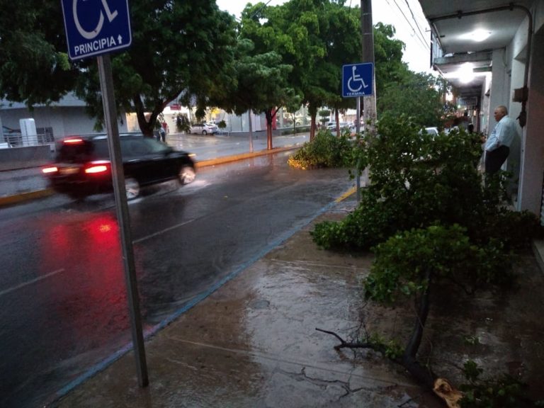 Evita pérdidas materiales y vidas humanas; estos son cruces peligrosos