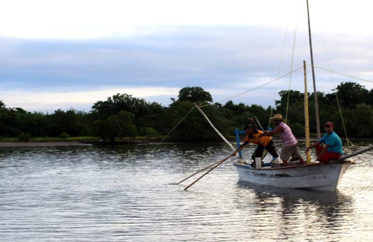 Se autovedan pescadores del sur de Sinaloa