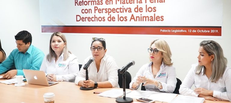 Proponen 6 años de cárcel por maltrato animal
