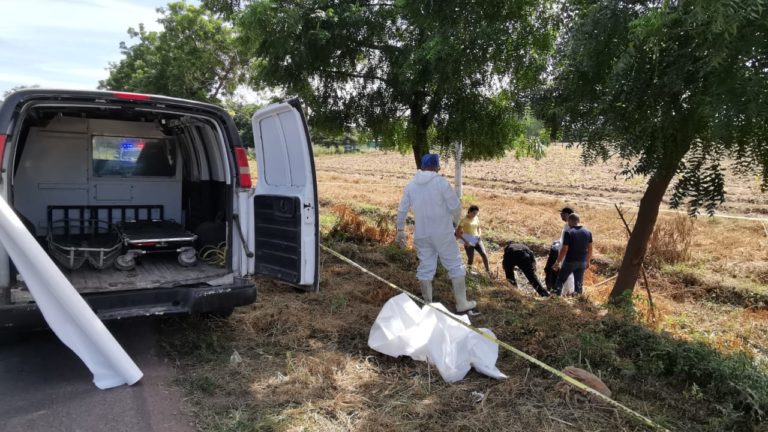 A golpes y con heridas de arma blanca lo encuentran muerto en la 20