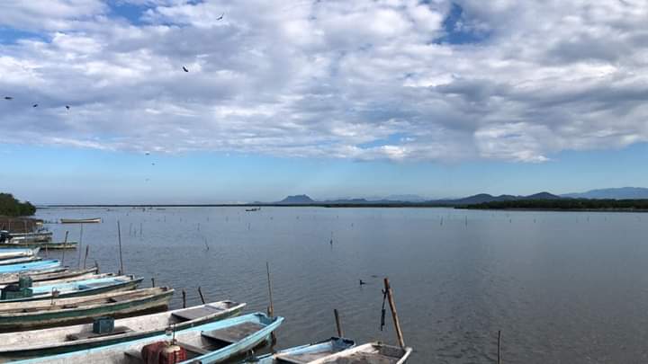 Levantan alerta sanitaria en laguna Huizache-Caimanero