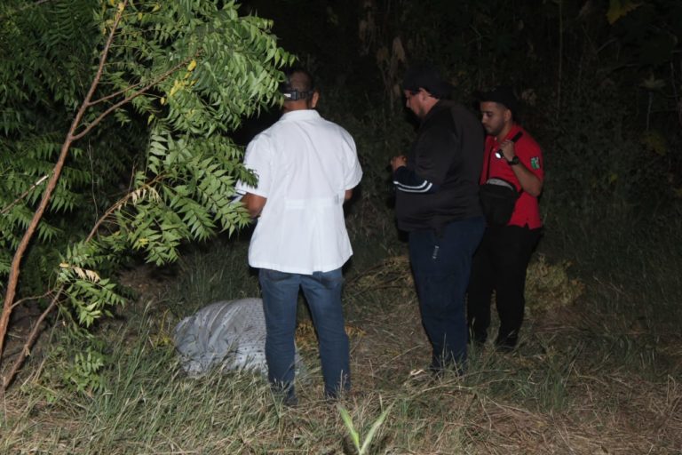 Matan a hombre en cultivos de Culiacancito