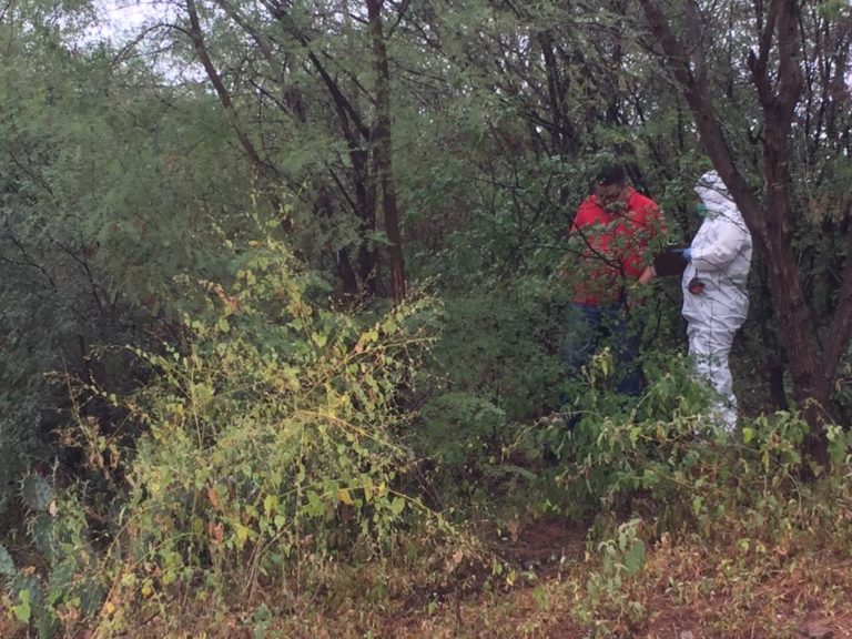 Lo reportaron muerto ayer, lo hallan hoy entre Sinaloa y Durango
