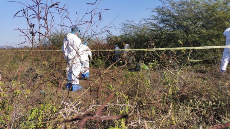 Hallan osamenta en Culiacán