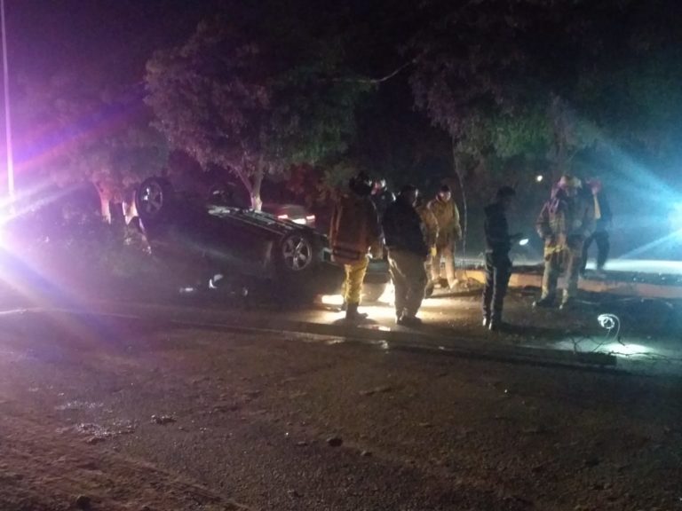 Derriban un árbol, un poste y sobreviven sus cuatro ocupantes