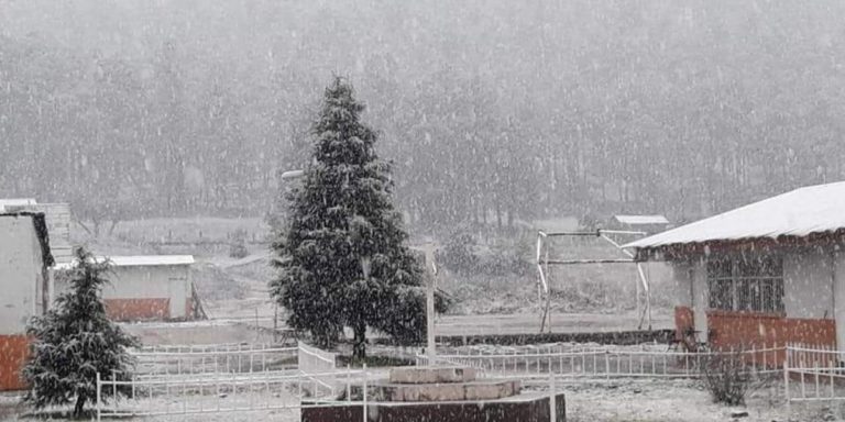 Chihuahua se pinta de blanco con nevadas en seis municipios