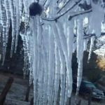 FB_IMG_1578777627040-1